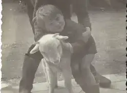 La ferme du Moulinat