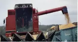 La ferme du Moulinat